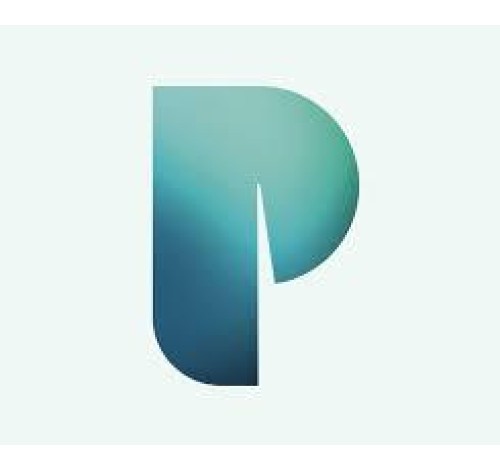 PROCONICS LTD